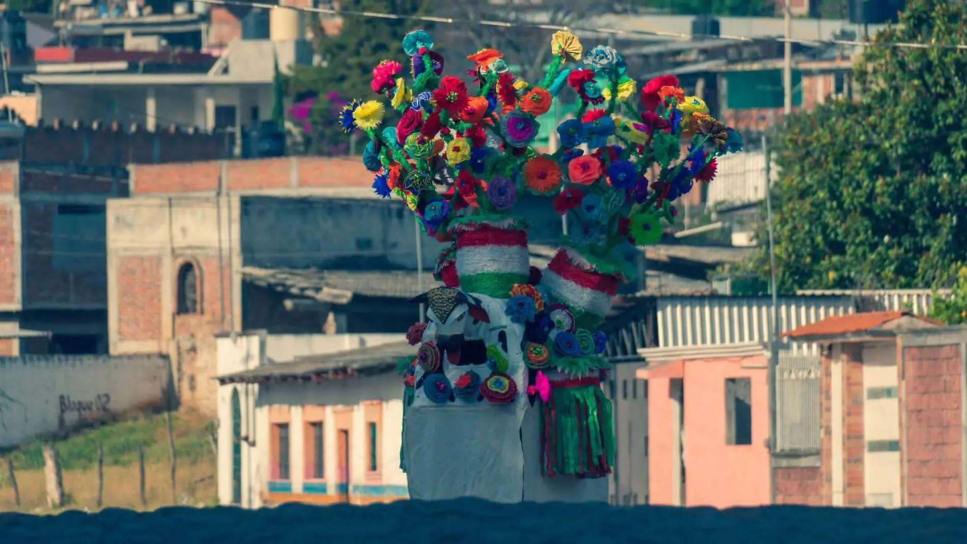 Toros de Petate Charo 1